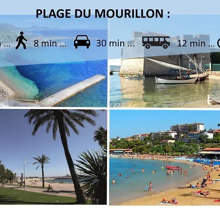 Toe Location Studio Joelle Terrasse Et Piscine Apartment Toulon